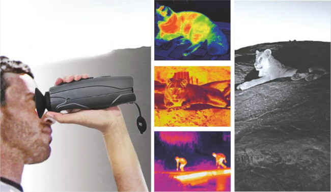 Тепловизионный монокуляр CEM T-72 в Новосибирске