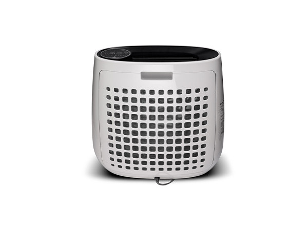 Очиститель воздуха FPJ31RB в Новосибирске