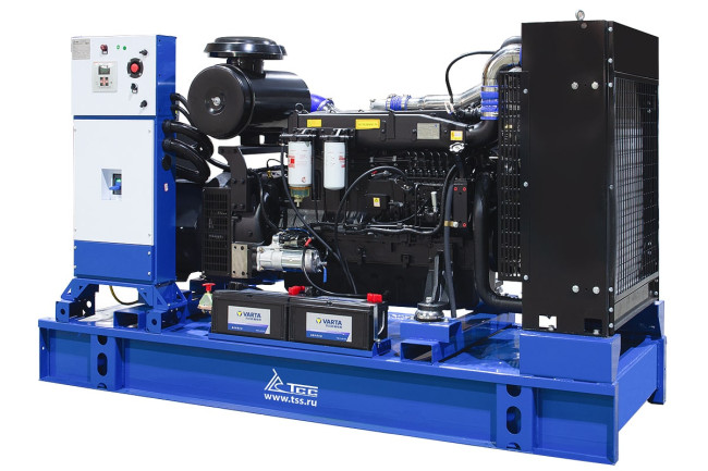 Дизельный генератор ТСС АД-200С-Т400-2РМ5 ПРОФ в Новосибирске