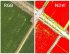 Квадрокоптер DJI Phantom 4 Multispectral + Мобильная станция D-RTK 2 High Precision GNSS в Новосибирске