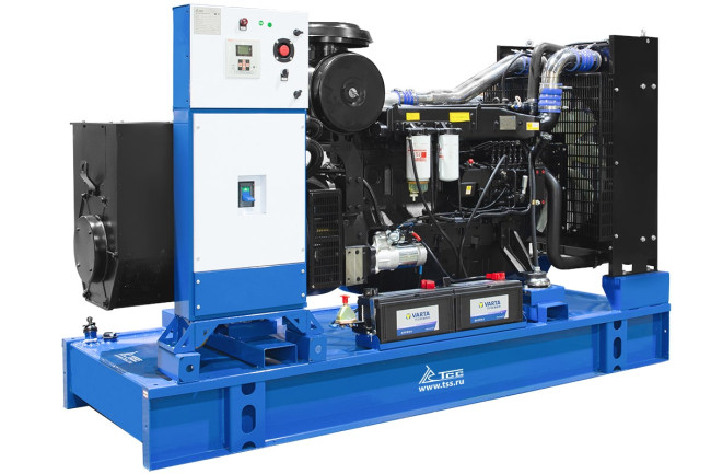Дизельный генератор в контейнере ТСС АД-200С-Т400-1РНМ5 ПРОФ в Новосибирске