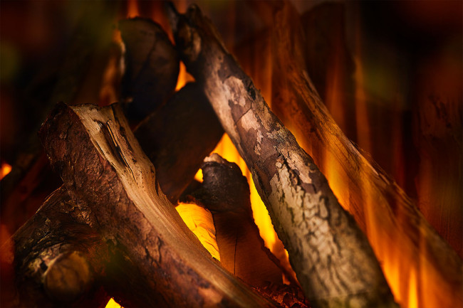 New Forest 1600 with Deluxe Real logs в Новосибирске New Forest 1600 with Deluxe Real logs в Новосибирске