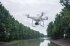 Сельскохозяйственный квадрокоптер DJI Phantom 4 мультиспектральный в Новосибирске