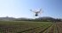 Сельскохозяйственный квадрокоптер DJI Phantom 4 мультиспектральный в Новосибирске