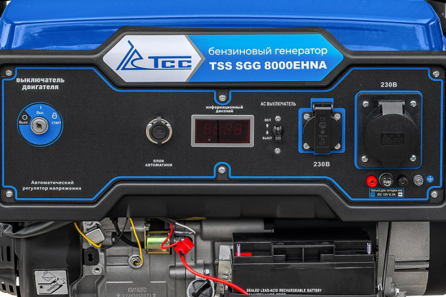 Бензогенератор TSS SGG 8000EHNA в Новосибирске