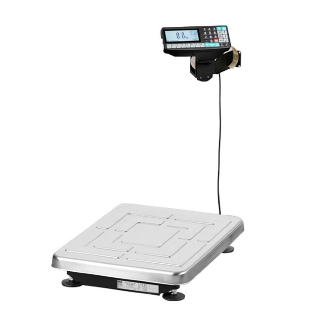 Весы ТВ-S-200.2-RP1 в Новосибирске