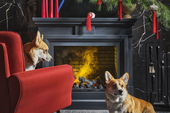 Каминокомплект Coventry - Серый графит / Кирпич с очагом Cassette 400 LNH-INT PS (без дров) в Новосибирске Каминокомплект Coventry - Серый графит / Кирпич с очагом Cassette 400 LNH-INT PS (без дров) в Новосибирске