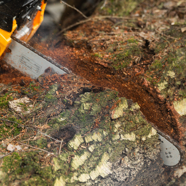 Пила цепная бензиновая DGS-4516, шина 40 см, 45 см3, 3 л.с, шаг 3/8, паз 1.3 мм, 57 звеньев Denzel в Новосибирске